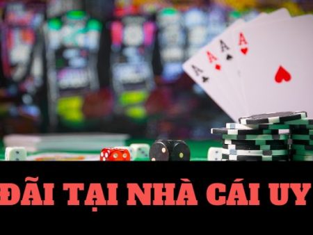 Lucky2u tổ hợp nhà cá cá cược hàng đầu Việt Nam