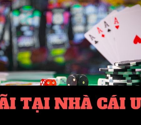 Lucky2u tổ hợp nhà cá cá cược hàng đầu Việt Nam