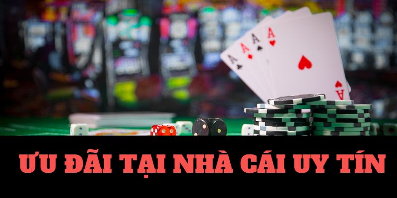 Lucky2u tổ hợp nhà cá cá cược hàng đầu Việt Nam